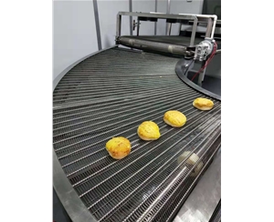 河北食品网带转弯机