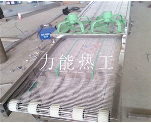 河北乙字网输送机