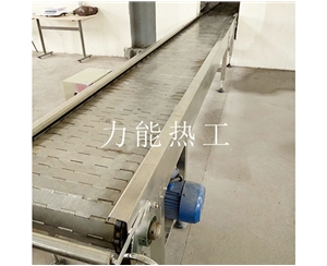 河北链板输送机